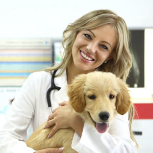 Dr. Ipsum Dolor